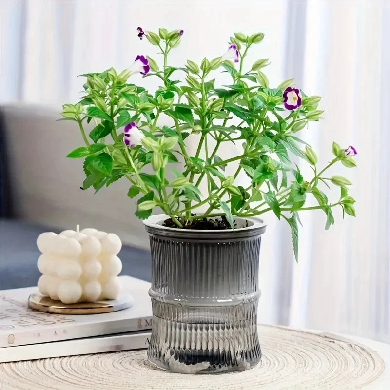 Self Watering Flower Pot