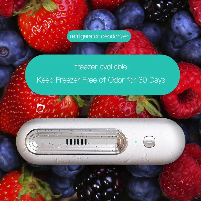 Fridge Deodorizer Balls