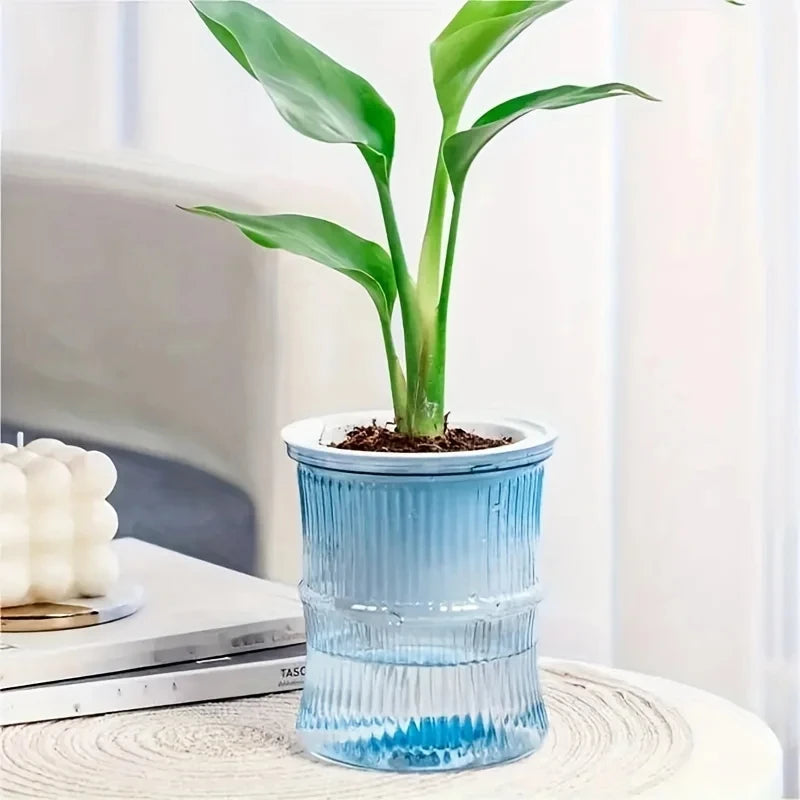 Self Watering Flower Pot