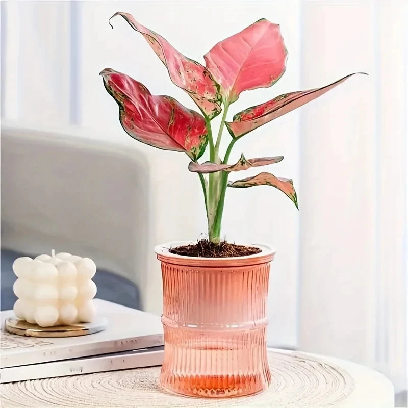 Self Watering Flower Pot