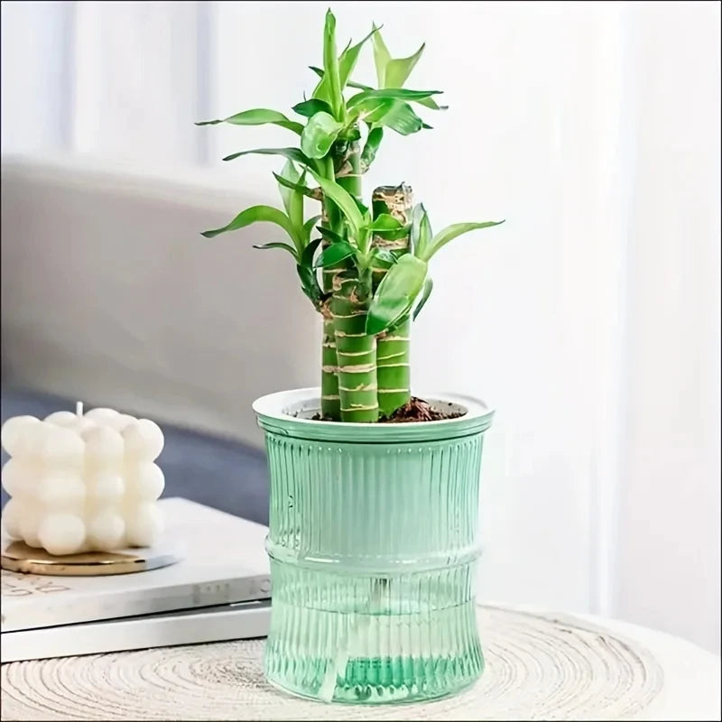 Self Watering Flower Pot